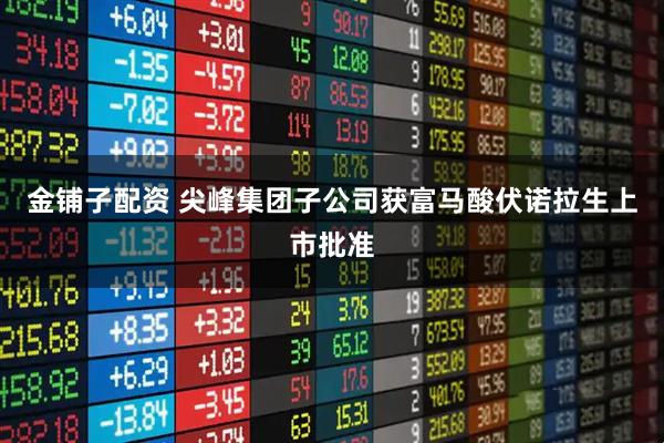 金铺子配资 尖峰集团子公司获富马酸伏诺拉生上市批准