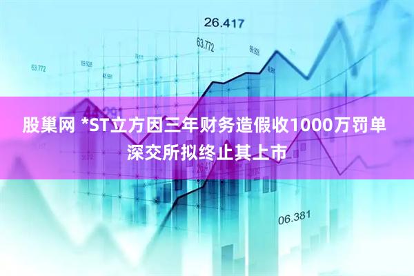 股巢网 *ST立方因三年财务造假收1000万罚单 深交所拟终止其上市